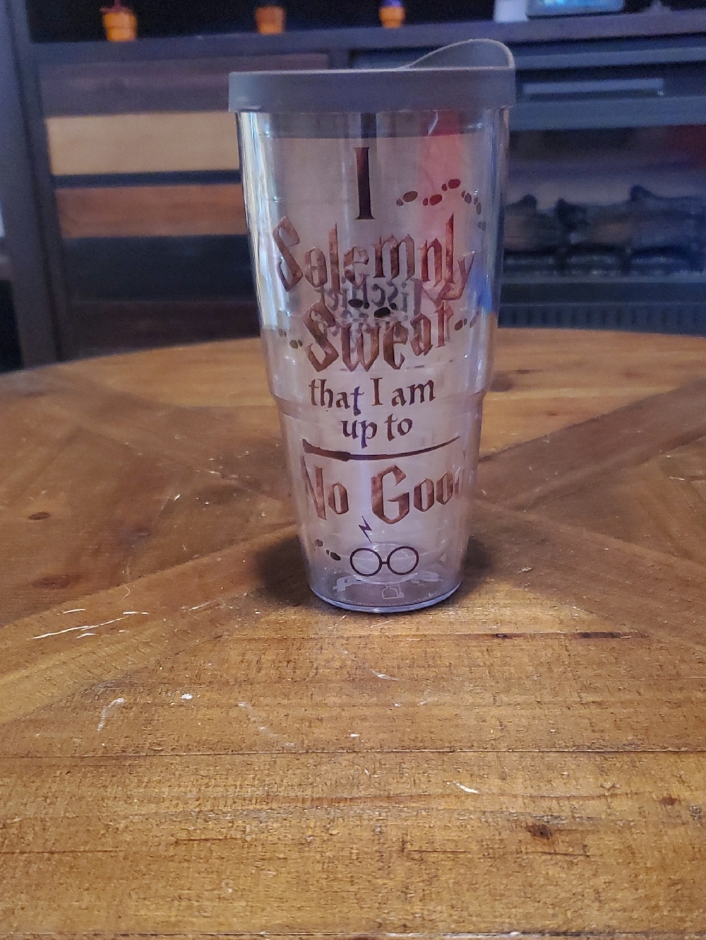 tervis Travel Tumbler with Wizard Quote